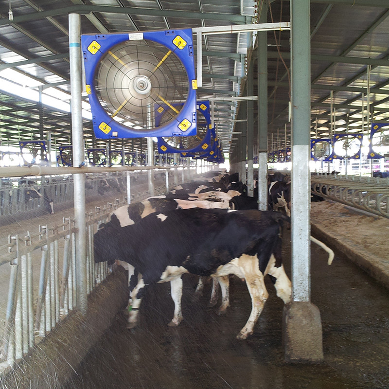 Kekuatan Tinggi Lembar Ganda PE Peternakan Circulation Fan 38 Blade Diameter 28273m3/h Aliran udara 410w Daya Masuk