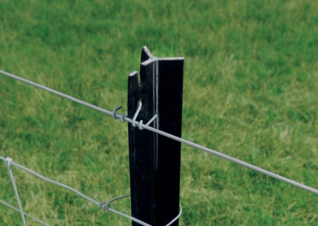 Heavy Duty Y-Post untuk Ranch dengan warna yang dapat disesuaikan Black Galvanized Surface dan bentuk Y tanpa gigi