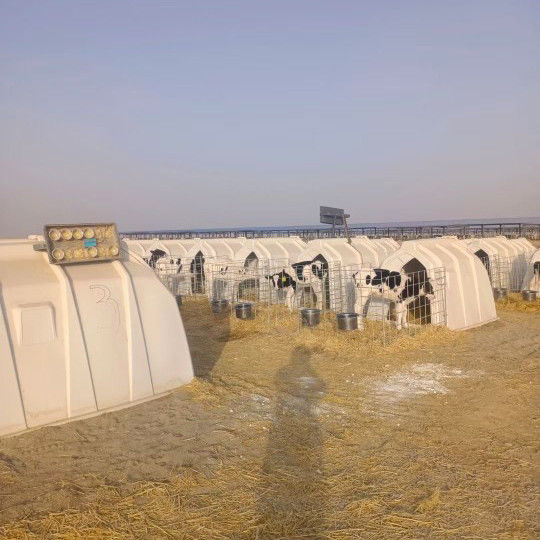 Polyetilen Dairy Calf Hutches Cocok untuk anak sapi dari segala usia dan ukuran 220*145*145cm