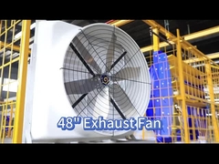 Meningkatkan Sirkulasi Udara dengan 121139m3/h Fan Unggas dan PMSM Motor