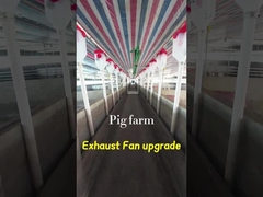 Volume kipas knalpot industri 72 inci Diameter bilah IP55 Kelas Perlindungan