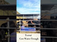 Penyiram Otomatis Ternak