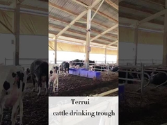 LLDPE Peternakan Auto Waterer dengan 3 set dari 220V300W Heating Disc untuk Sapi