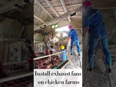 Kecepatan Variabel 120cm REFINE Kipas pembuangan 56,4m3/h Volume udara 48000m3/h Kapasitas aliran udara