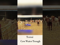 Penyiram otomatis ternak dengan ketinggian minum 250 mm LLDPE aliran