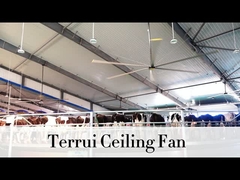 9.53m3/min Aliran udara Kipas angin langit-langit industri 14300 m3/min Max Output