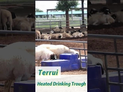 Tangki air ternak plastik biru tahan korosi 85L