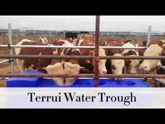 85L Blue Heavy Duty Watering Tank dengan 3/4 Selang Berliku