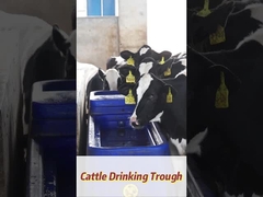 120L/menit Aliran Rate Polyethylene Tahan Sapi Air Minum