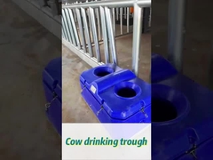 Penyiram sapi dengan aliran tinggi untuk penyiraman yang mudah pada ketinggian minum 450 mm