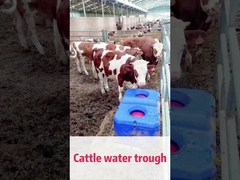 LLDPE Blue Cow Waterer Solusi yang Sempurna untuk Pengelolaan Sapi