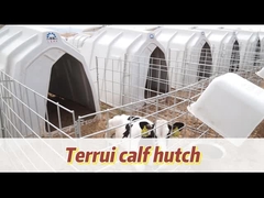 Rumah Anak sapi yang Berventilasi untuk Anak sapi