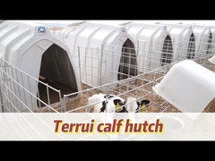 Polyetilen Dairy Calf Hutches Cocok untuk anak sapi dari segala usia dan ukuran