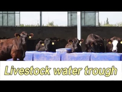 260L Kapasitas Cow Waterer untuk mudah sapi menyiram pada ketinggian minum 350mm
