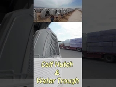 220*145*145cm Bentuk persegi panjang Sapi Susu untuk Kesehatan dan Kesejahteraan yang Lebih Baik