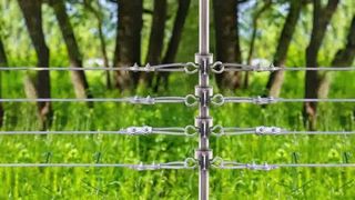 Amankan Ternak Anda: Cara Memasang Insulator T-Post pada Pagar Listrik