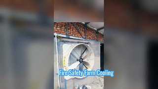 Ventilasi Kecepatan Tinggi: Kipas Knalpot Industri Terrui Beraksi