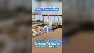 Bak Air Ternak Pemanas 1,7m Terbuat Dari Casing Plastik Tahan Lama Untuk Menahan Kondisi Dingin Ekstrim